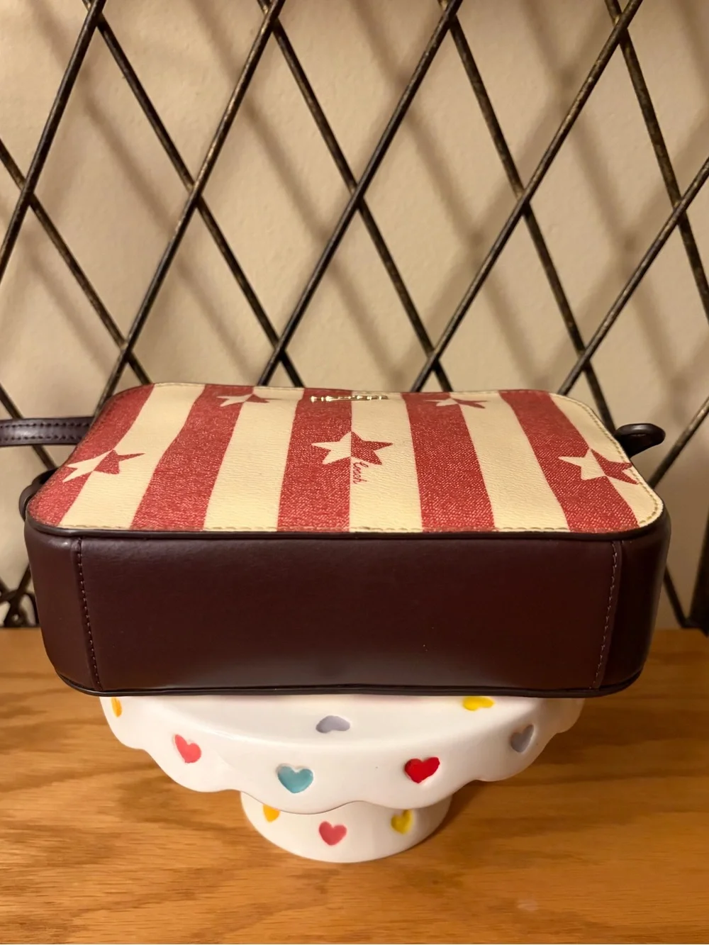 Coach mini camera